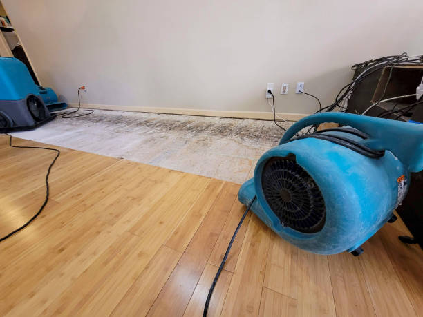 Professional Structural Drying technician working in Clyde, NY